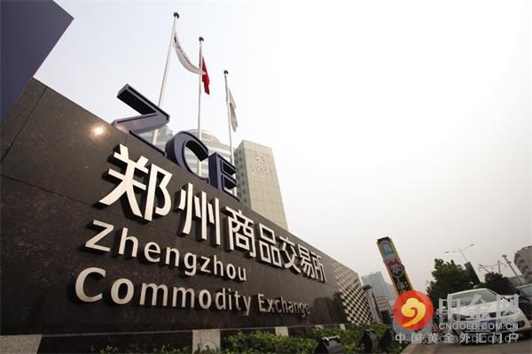 郑州商品交易所期权的特点有哪些？如何根据这些特点制定投资计划？