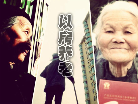 如何处理没有养老的情况？办理养老的手续和流程是什么？