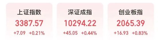 600610,盘中“天地板”!热榜第一