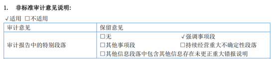 又一A股审计“自爆”!23年IPO上市,次年就财务造假?