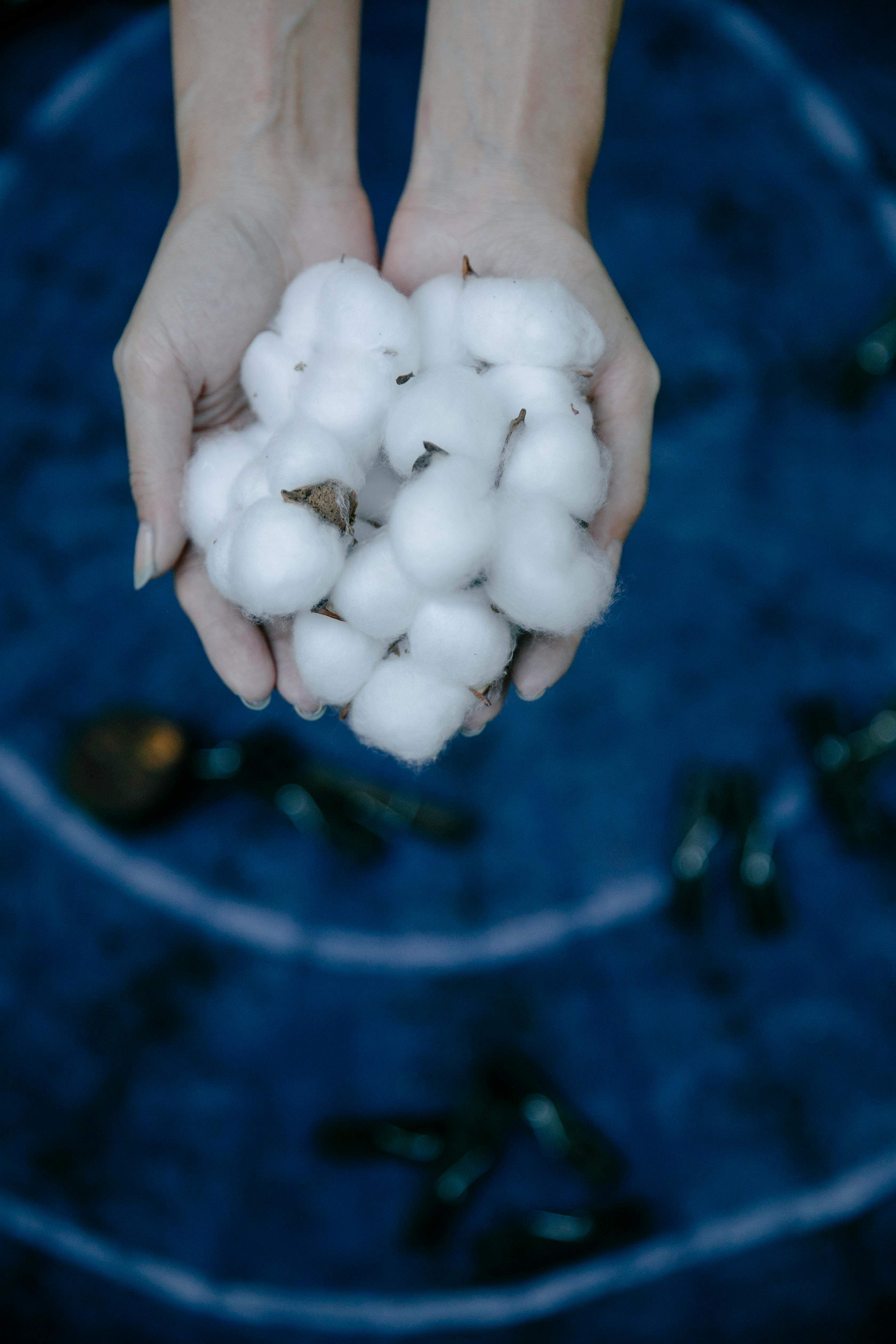 菜油与豆油价格差异的原因是什么？这种差异对市场有何影响？