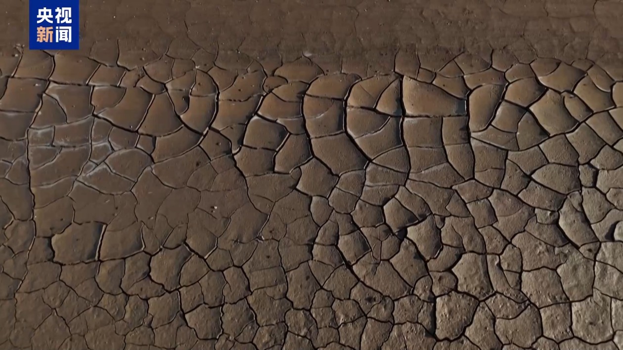 世界气象组织:五年内大概率再迎“最暖年份”