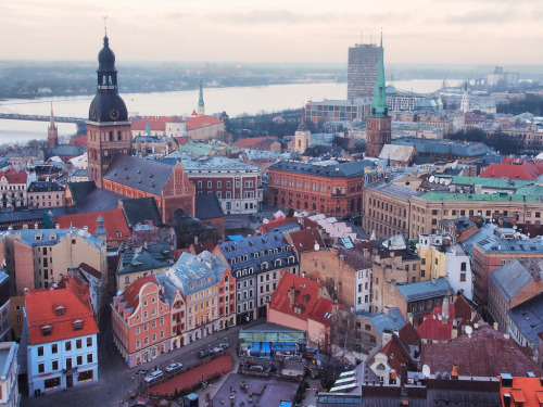 如何了解居住区域的状况？该区域有哪些特点？