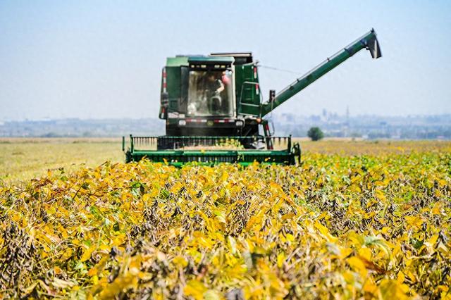 财经观察:一颗大豆的全球化博弈