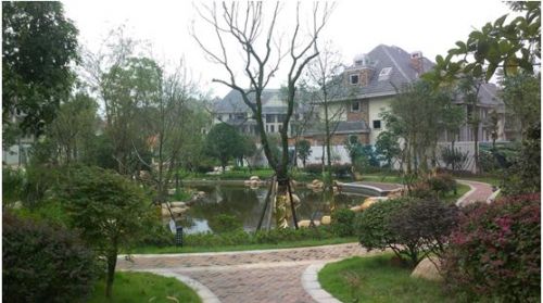 如何认识去化能力并评估其重要性？这种能力在市场中有何表现？