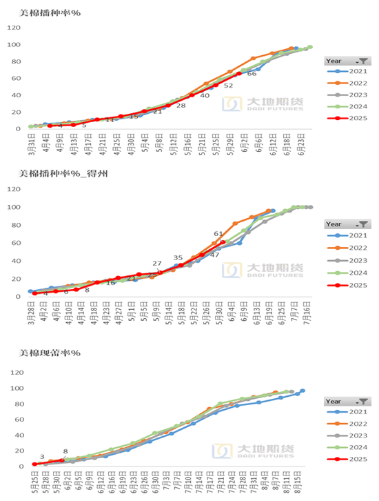 棉花:矛盾在解决中,但效果有限