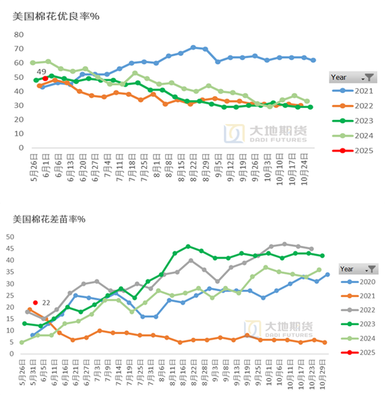 棉花:矛盾在解决中,但效果有限