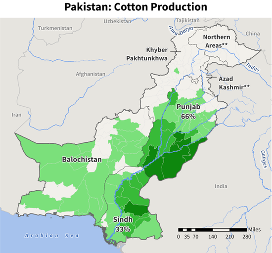 棉花:矛盾在解决中,但效果有限