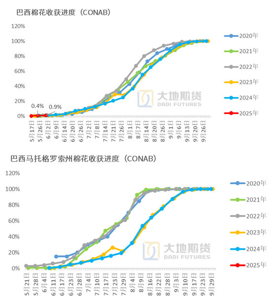 棉花:矛盾在解决中,但效果有限
