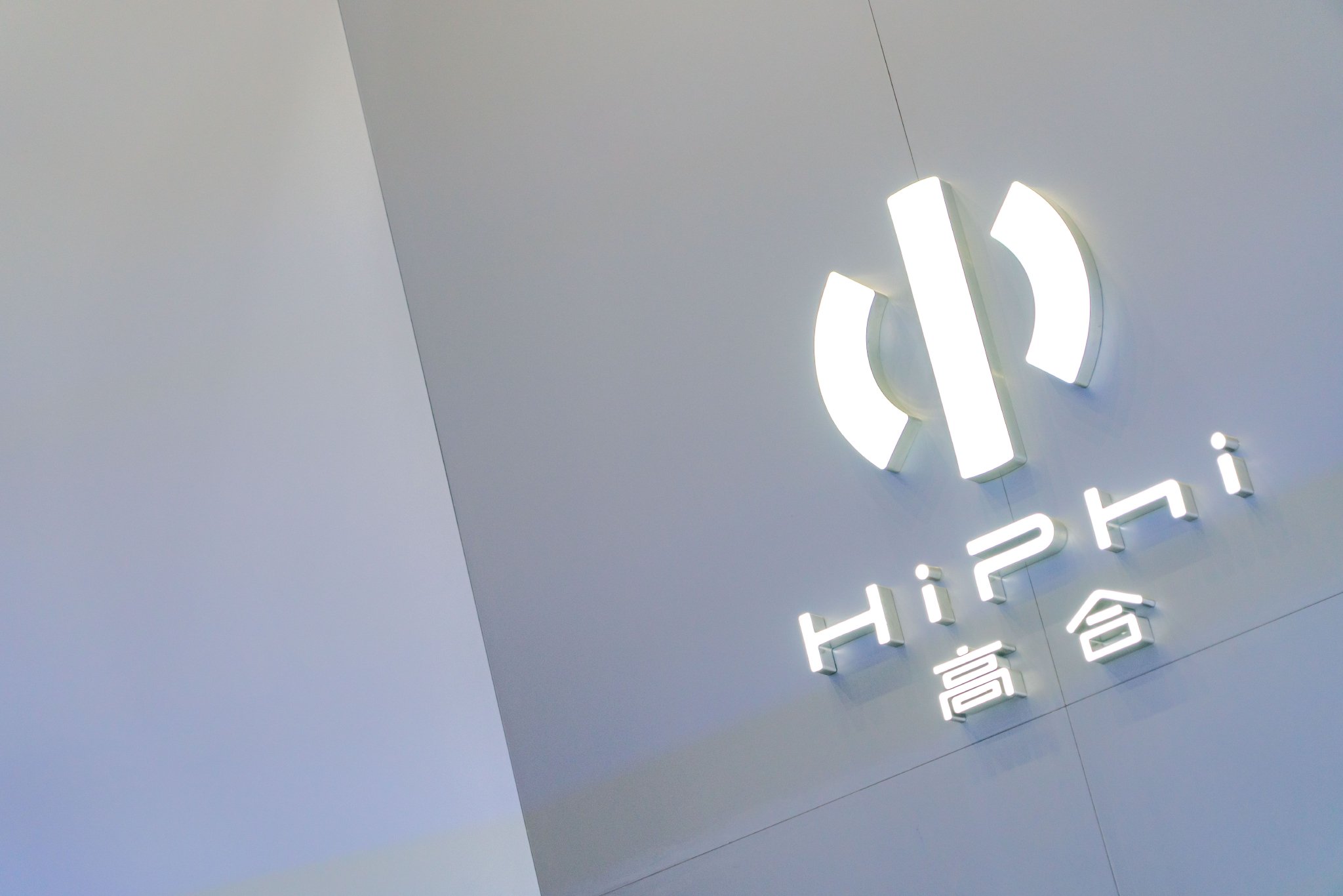 黎巴嫩商人出资1亿美元后,高合汽车广州公司及丁磊再被限消