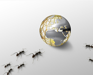 如何理解金融投资原理？怎样在金融市场中稳健投资？