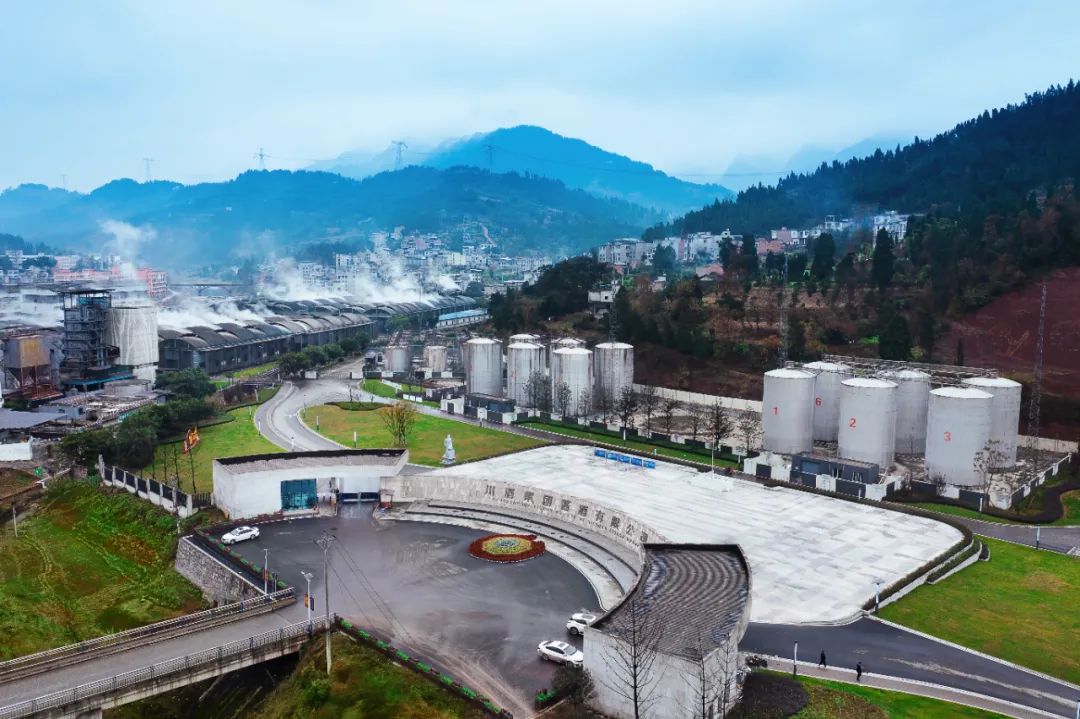 原酒基因解码白酒新消费,川酒集团破译个性化需求密码