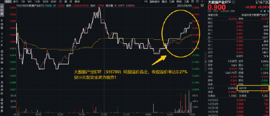 猛踩油门!资金加足马力?信创ETF基金(562030)成交额再超2亿元!大数据产业ETF(516700)尾盘溢价高企