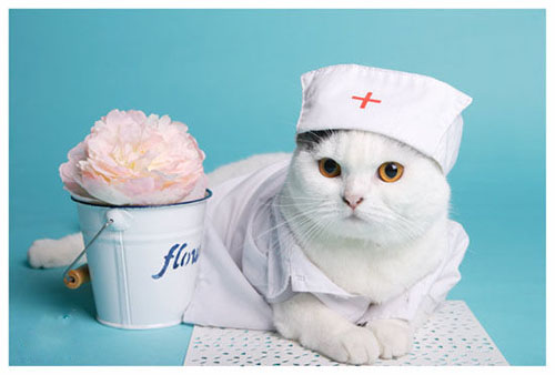 如何办理医疗报销？医疗报销的条件和手续有哪些？