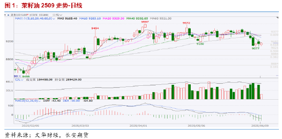 长安期货胡心阁：油脂板块逻辑分化，但向下空间或均有限，等待两大月报落地