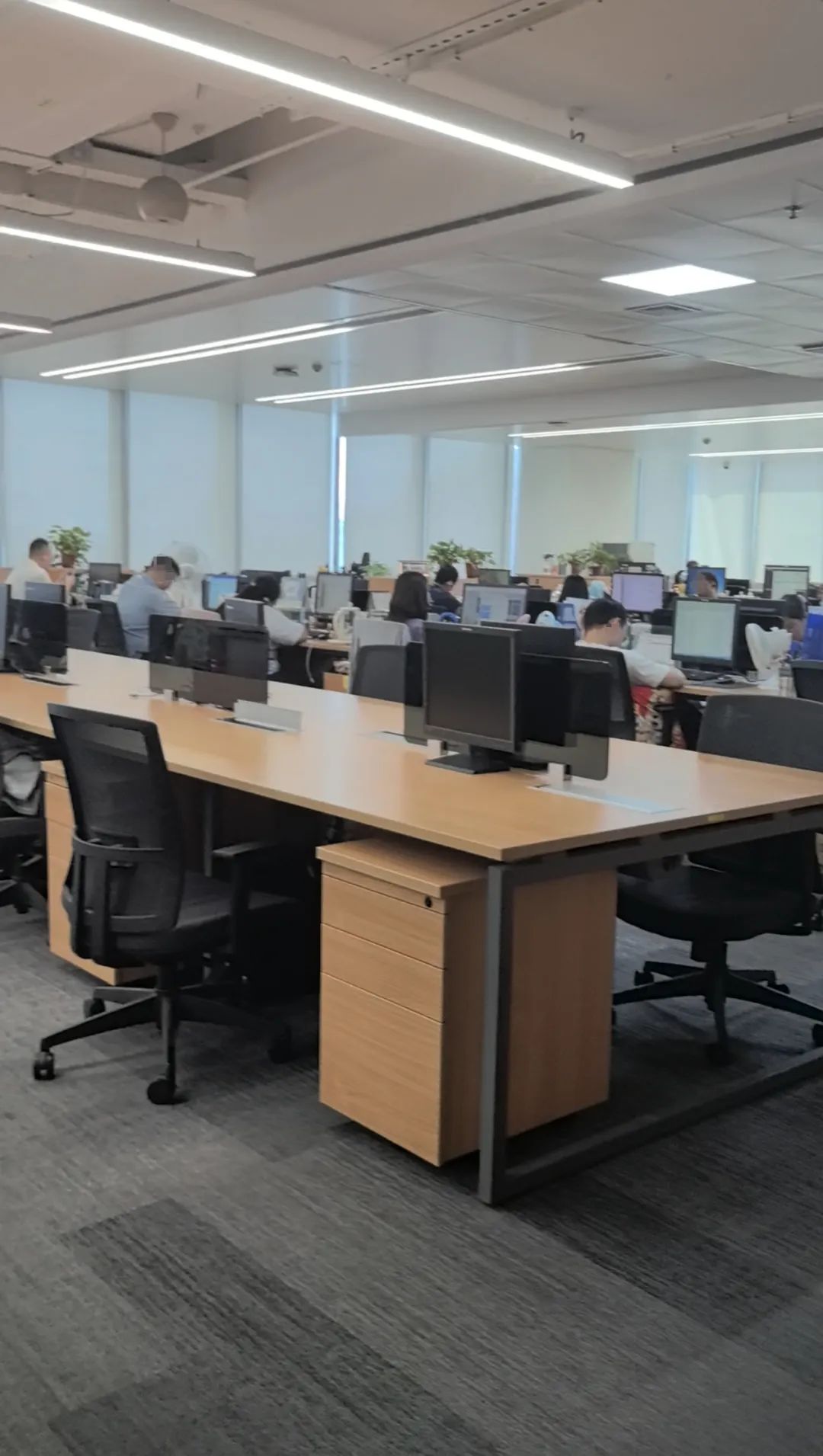 关店百家，“民营超市第一股”人人乐将退市！现场实探：员工正常办公