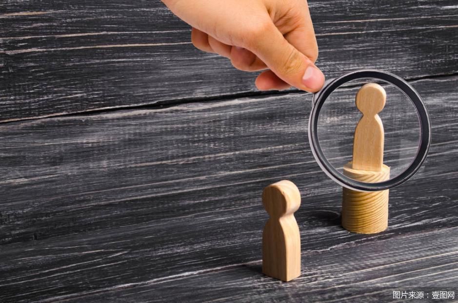 天降乌龟酿惨剧!宠物闯祸 能走保险吗?