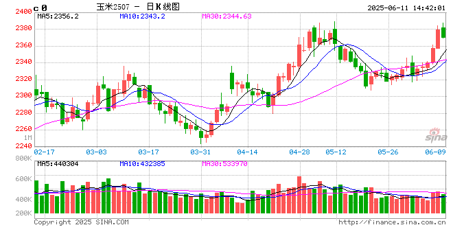 6月步入青黄不接，玉米行情是涨是跌？
