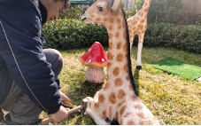 赋能儿童成长，远洋服务打造儿童友好社区