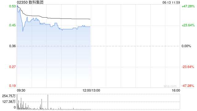 数科集团复牌一度飙升41% 获要约人每股0.256港元提全购要约
