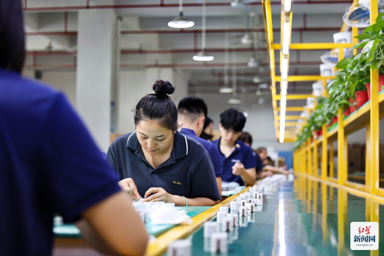 拼多多千亿扶持搭台 小鱼缸在电商西进中找到大商机