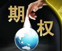 如何进行期权盈利计算？欧式期权计算有哪些示例？