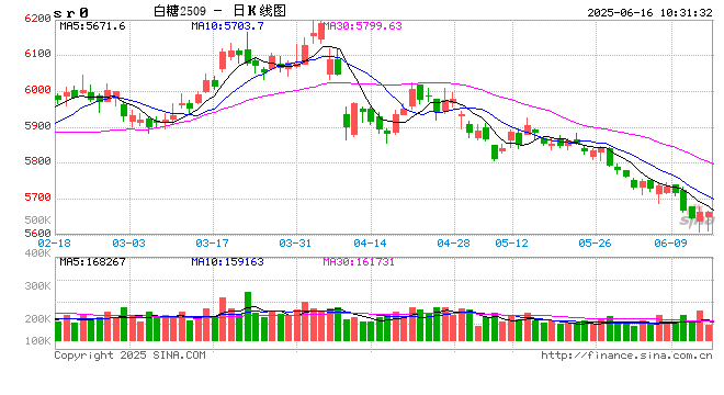 光大期货软商品类日报6.16