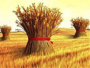 如何处理农村房产相关事务？农村房产事务处理要点有哪些？