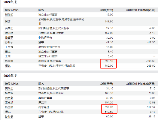 双登股份港股IPO获中国证监会备案：董事长杨锐年薪暴增50%达782万，副总经理杨宝峰年薪从994万降至598万