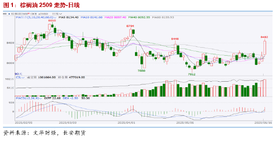 长安期货胡心阁：美国生柴政策超预期利多，油脂工业需求或存中长期支撑