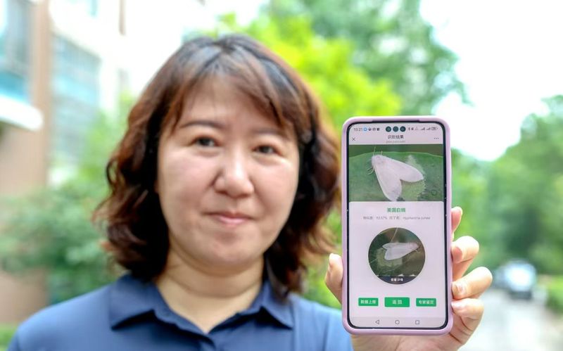 北京推出“拍照识虫”小程序2.0版本,市民可上报美国白蛾线索