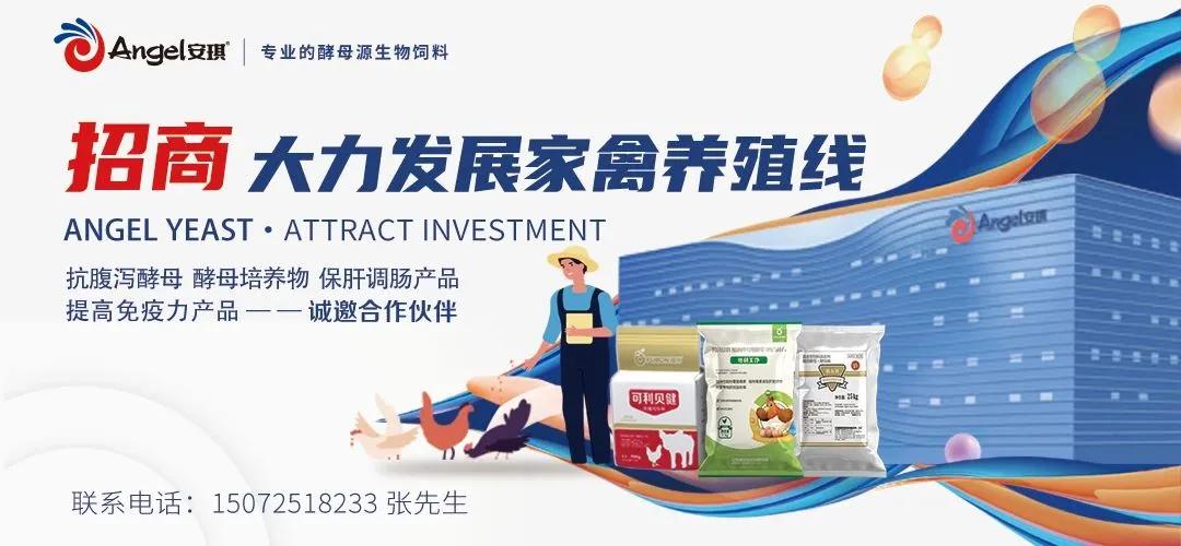 降幅超29%!牧原股份、温氏股份、新希望等15家猪企出栏均降!丨前五个月,23家猪企出栏同比增30%