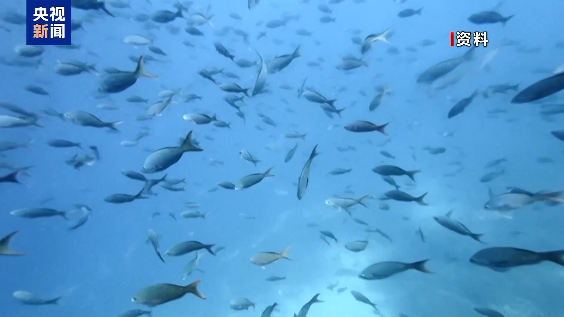 以军瞄准伊朗布什尔核电站?俄警告或酿切尔诺贝利级核灾难