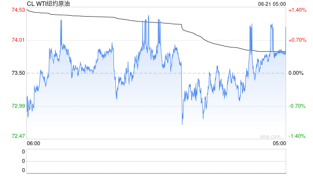 【原油半年报】欧佩克从保价转向保份额,地缘突发抢戏油市再平衡之路怎么走?