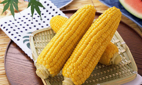 如何确定玉米期权手续费标准？手续费对交易成本有何影响？