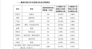 连亏之下,小崧股份五折股权激励藏“猫腻”,上演“消失”的临时议案