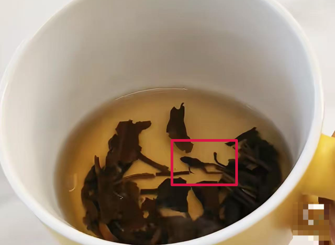 “奈雪的茶”茶包喝出青蛙?当事人再发声!