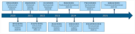 国产ADC崛起！创新药短期波动不改长期价值！