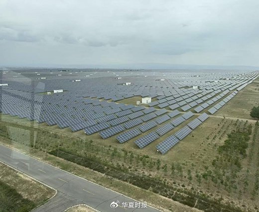 中国人寿的青海答卷：戈壁滩上育出“光伏羊”