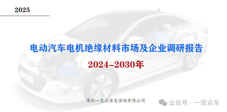 2024-2030年电动汽车电机绝缘材料市场及企业调研报告