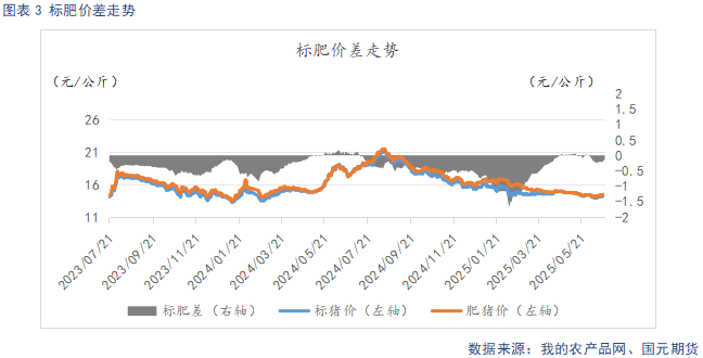 【生猪半年报】供给端持续施压 季节性反弹可期