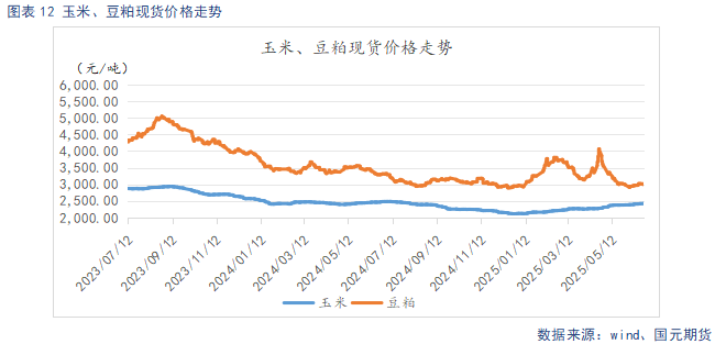 【生猪半年报】供给端持续施压 季节性反弹可期