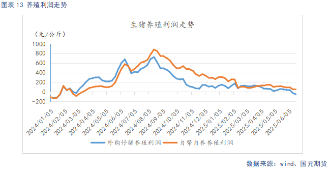 【生猪半年报】供给端持续施压 季节性反弹可期