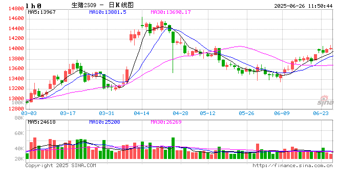 2025年国内或呈现生猪均价弱、玉米均价强的运行趋势