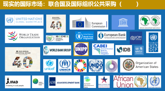 中国联合国采购促进会宋嘉:企业出海是一种战略选择