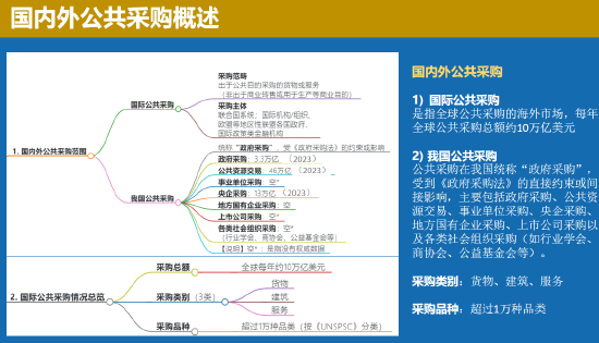 中国联合国采购促进会宋嘉:企业出海是一种战略选择