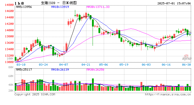 卓创资讯：河南猪肉价格领涨全国 7月价格或震荡上涨