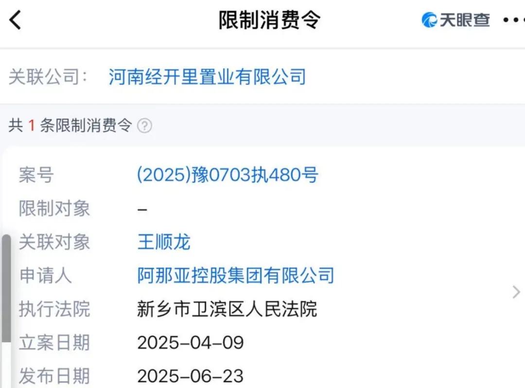 河南新乡“阿那亚分亚”没法打卡了!花了6万元仿建、又花了2万多元改建,仍被法院判决拆除