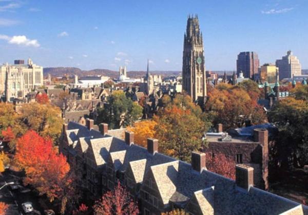 如何依据IV进行期权操作？依据IV操作期权有何技巧和要点？