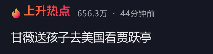 甘薇送孩子赴美探望贾跃亭 此前官宣离婚 否认资产转移 没拿40亿!彼此无商业关联